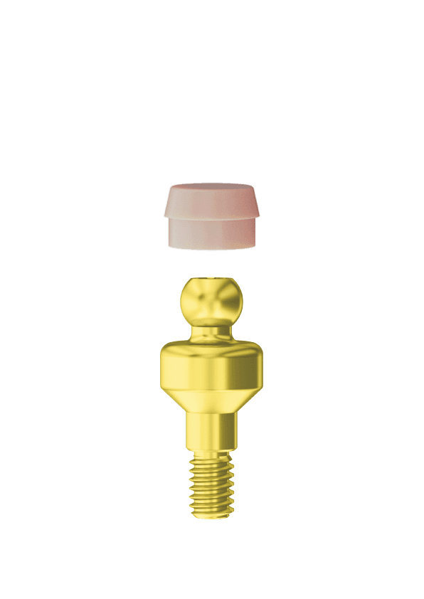 aa1c4464-0b3d-4030-b54c-76129bf3ca33